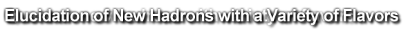 Elucidation of New Hadrons with a Variety of Flavors
