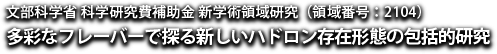 文部科学省 科学研究費補助金 新学術領域研究：多彩なフレーバーで探る新しいハドロン存在形態の包括的研究