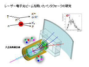 レーザー電子光ビームを用いたペンタクォークの研究