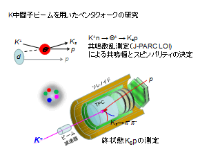 K中間子ビームを用いたペンタクォークの研究